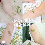 TATTOO 4Zhang Artistic Fresh Plant Four-leaf Clover Green Leaf Olive Branch Set Waterproof Tattoo St