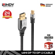 LINDY Kabel Mini Display Port to DisplayPort Cable (Mini DP to DP) 5m