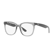 RayBan RX4379VD Eyeglass Frames 8170