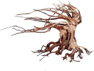 Amtra A8147659 Wood Oriental Wind 6, M