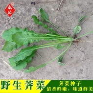Will Seeds Wild Vegetable Seeds Balcony Four Seasons Potted Wild Vegetables Vegetables Wild Vegetabl