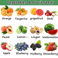 Fruit Seeds Section { Hybrid Bonsai Giant) Fruit /orange/lemon/Litchi/Blueberry Seeds