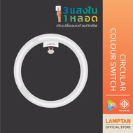 LAMPTAN หลอดไฟกลม LED Circular Colour Switch 24W 3 แสงใน 1 หลอด เปลี่ยนแสงด้วยสวิทช์ไฟ