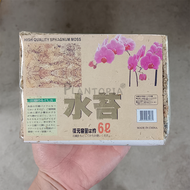 [Plantopia] Sphagnum Moss 100/500g l Graden Accessories