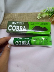 lem tikus cobra isi 6 pcs lem tikus sangat lengket ampuh bismillah tikus