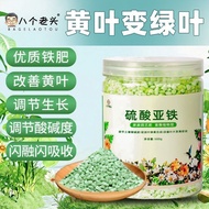 Ferrous Sulfate Flower Fertilizer Acid Happiness Acid Plant Water-Soluble Fertilizer Large Barrel Pa