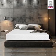 Thames ที่นอนยางพารา รุ่น Holmes หนา 6 นิ้ว หนานุ่ม ช่วยรองรับสรีระ ลดอาการปวดหลัง latex mattress 3 