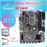 B75 12 Card GPU BTC Mining Motherboard+G1620 CPU+Thermal Grease+SATA Cable 12XUSB3.0(PCIE) Slot LGA1155 DDR3 RAM MSATA