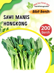 NEW!! 200 Biji Benih Sawi Hongkong - Caisim Manis Hongkong