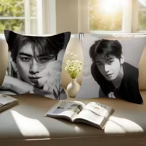 Singer Cha ido EunWoo Double-sided Printed pillow cover Short plush Suitable living rooms bedrooms s