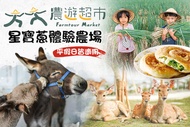 【夠麻吉X農遊超市】宜蘭星寶蔥體驗農場 A.星寶蔥動植物聯合雙人套票/B.三星蔥派DIY體驗(單人)