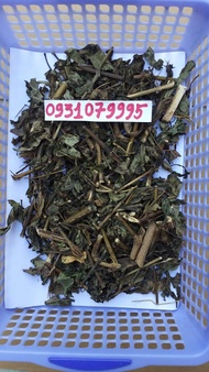 cây kim vàng phơi khô 1kg