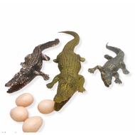 Crocodile Animal Toy + crocodile egg