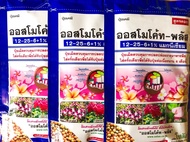 ปุ๋ยละลายช้า 12-25-6+1% ปุ๋ยออสโมโค้ท ขนาด 100 กรัม  บำรุงต้น เร่งดอก