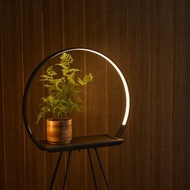 camino X MASSIMO Halo Lamp 植生圓柔燈桌 植物燈 擺飾 LED 燈