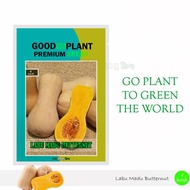 4 Biji - Benih Bibit Labu Madu Butternut F1 OkeGreenShop