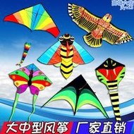 濰坊鴻運風箏新款飛機蛇彩虹金魚蝴蝶老鷹成人大型兒童風箏的