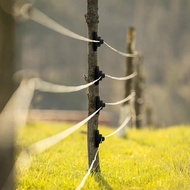 100 Pcs Electric Wire Fence Insulators Electric Fence Wood Post Claw Insulators Fence Accessories Na