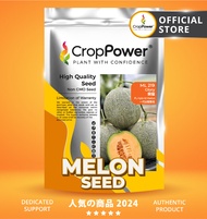 (500 SEEDS) Biji Benih Rock Melon Glory 荣耀 ML219 CROP POWER F1 HYBRID  Rock Melon Seed  蜜瓜种子 ML 219