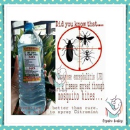 Citromint Organic Spray