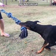 MAINAUSHUI6K 1 set of 3 Pet Activity Rope, Stainless Steel Spring 300 lbs Load Capacity Dog Tug Rope