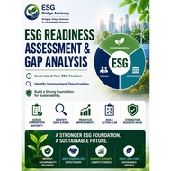 SME ESG Readiness Assessment Service