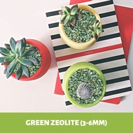 Gardening Green Zeolite for Succulents &amp; Cactus 3-6mm (1L) | Potting Medium / Topping | Soil Conditioner |