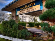 胡椒樹酒店 (Pepper Tree Inn)