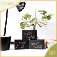 Pankis DIAMOND 5 Box - Usir Diabetes Menahun - Teh Herbal PANKIS