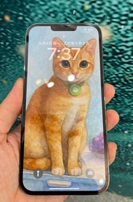 Apple iPhone 13 Pro Max 松嶺綠色 1TB