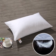 30x50 40x60 50x70cm 100% Cotton Goose Down Feather Body Cushions Plush Sleeping Neck Cervical Pillow