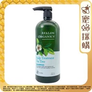 AVALON ORGANICS - 茶樹精油潔淨去頭皮洗髮露 946ml (平行進口1283)