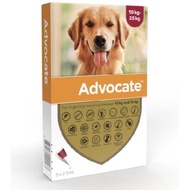 Advocate Dog L Large Dog Flea Treatment Drops 10-25Kg Tube 2.5 Ml