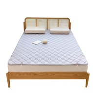 Summer Rattan Mat Mattress Cushion Ice Silk Summer Mat Cushion Student Dormitory Single Tatami Thin Rental For Home