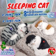 Boneka Kucing Dashboar Pajangan/ Kucing Boneka Lucu/ Sleepcat