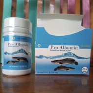 pro albumin ikan gabus original kapsul