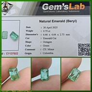 Natural Emerald Beryl Colombia mini Minor memo GLI Zamrud Columbia