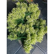Milk Flower Cluster, 7 Branch Cluster, 40cm High Cluster - grass, fake leaves