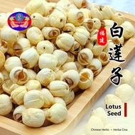 白莲子 【福建】 Lotus Seed / Biji Teratai (Fujian)  | Premium Grade |  -  100gm