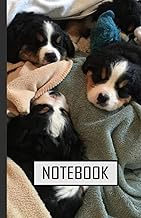 Verycool Basset Hounds Notebook: Lined-Ruled, 5.5 x 8.5, 120 Pages, For kids, teens, and adults (Com