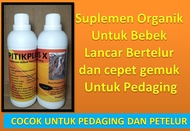 PITIK PLUS X SUPLEMEN ORGANIK UNTUK TERNAK BEBEK PEDAGING DAN PETELUR