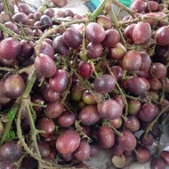 Buah Matoa/Buah Kristal Sarawak/Buah Longan Brazil 1kg