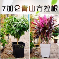 7 Flower Pot Root Resin Square Pot Clematis Qingshan Gallon Square Free Shipping Square Control Pot 