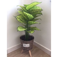 Pokok Keladi Hiasan Tiruan/ Pokok hiasan Dalam Rumah/ Pokok Keladi Viral/ Pokok Keladi plastik/ Monstera [70cm]