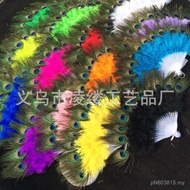 Peacock Fan Fan Peacock Peacock Feather Craft Fan Feather Belly Dance Feather Fan Feather H9Y5