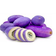 japanese Purple Akebi Fruit seed -Holboellia latifolia-very rare