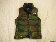 The North Face vest 迷彩羽絨背心700 北臉 arcteryx patagonia columbia