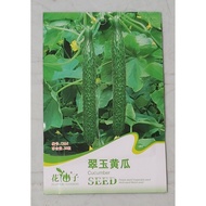 Cucumber Seed(3) 🥒🥒 翠玉瓜种子  (20 seeds /pack )