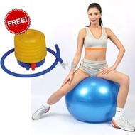 Free Air Pump Gym Ball Size 65CM/Gym Ball/Gym Ball/Fitness Ball/Yoga Ball ORIGINAL