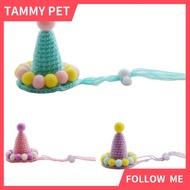 Woven Pet Hat Birthday Plush Ball Cap Photography Props Cat Dog Head Decor